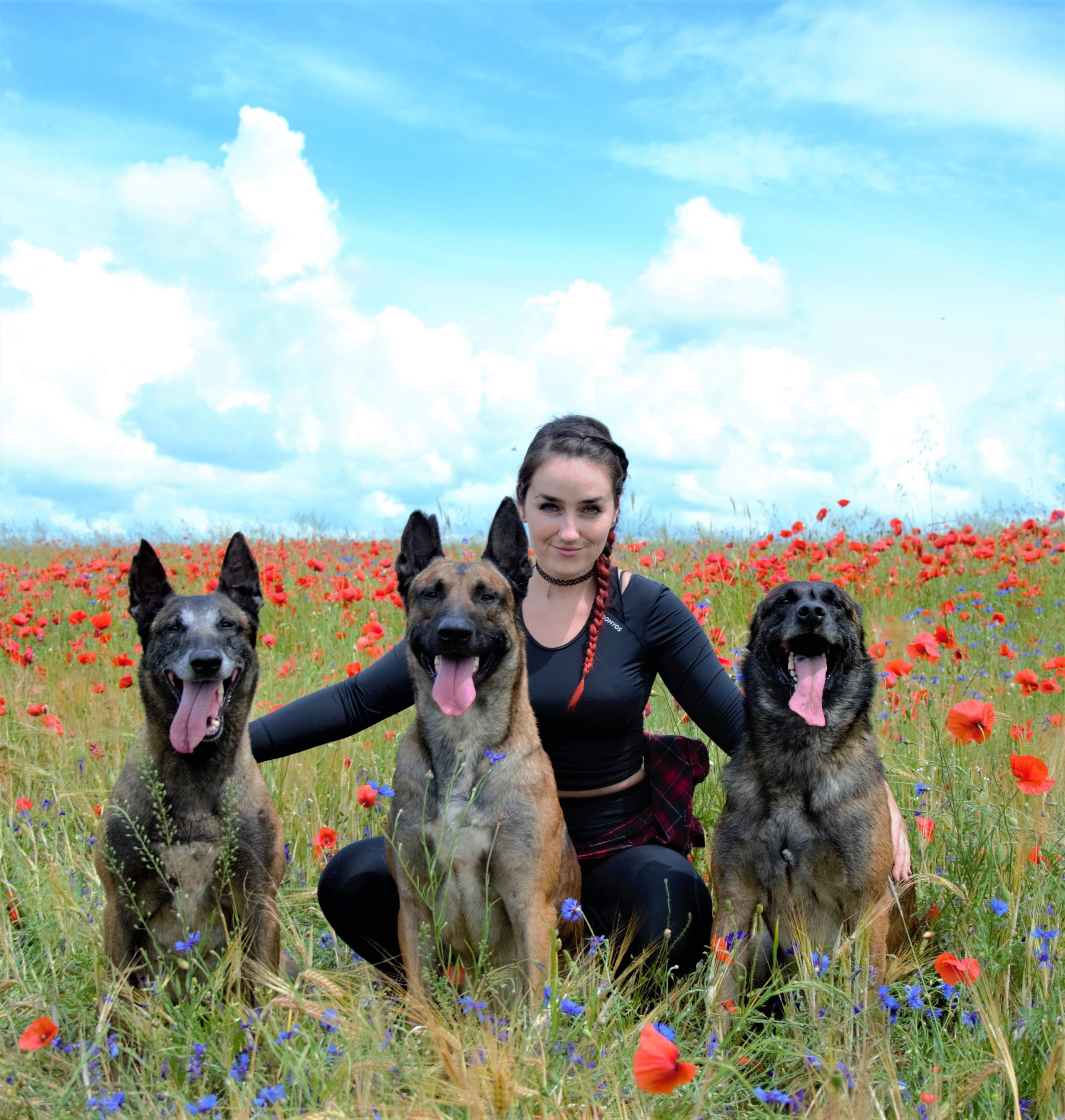 Dominika a malinois