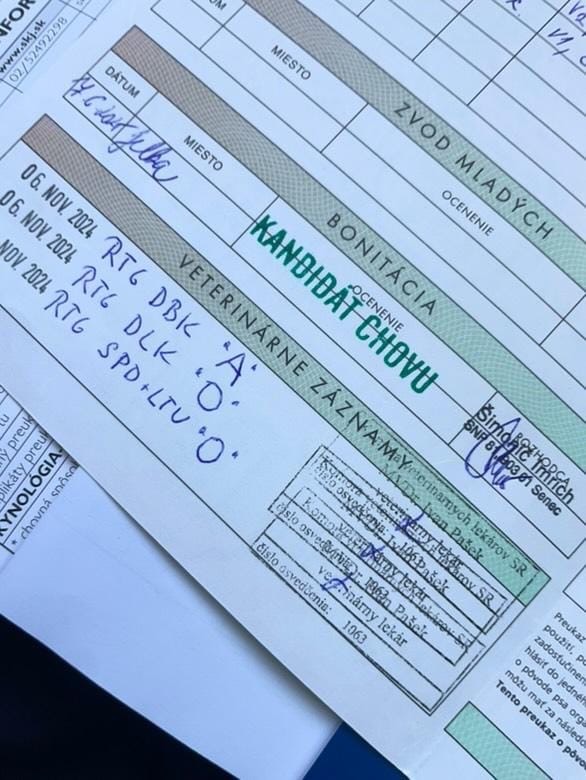 07062025-eli-od-mlynskej-cesty-sa-stala-kandidatom-chovu-gallery-1