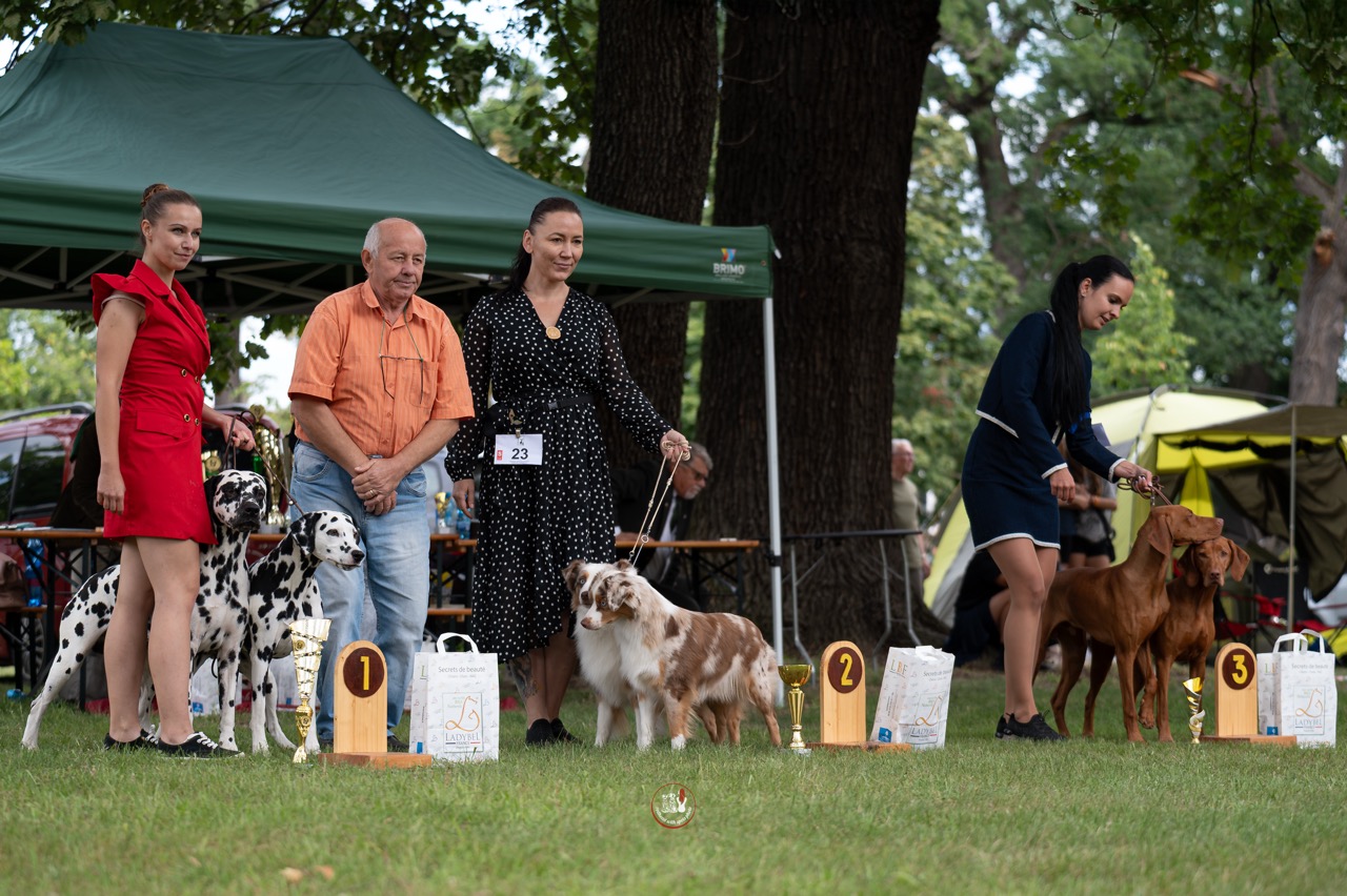 23082025-oblastna-vystava-malacky-gallery-1